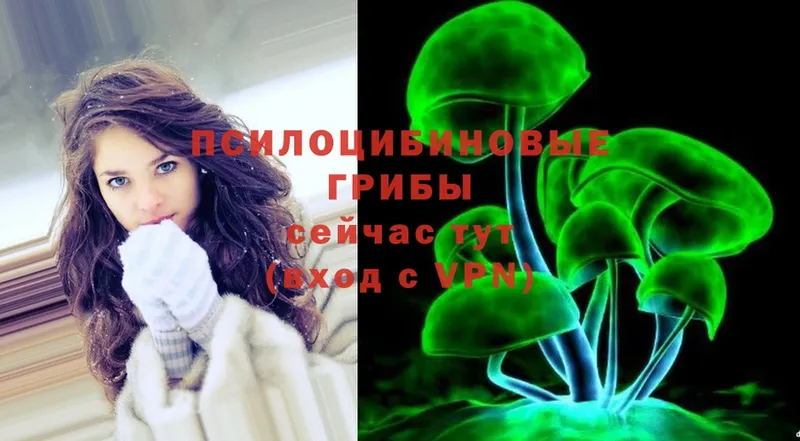 Псилоцибиновые грибы Psilocybine cubensis  сколько стоит  Сосенский 